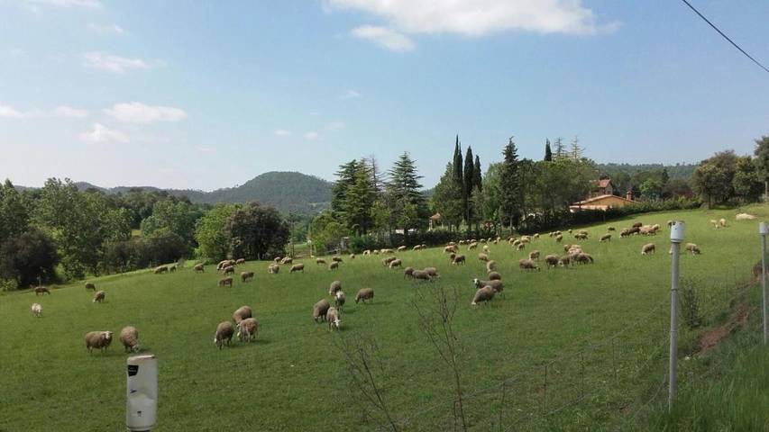 Casa rural para 6 personas, con jardín además de vistas y piscina, Se admiten mascotas en Berguedà - 3
