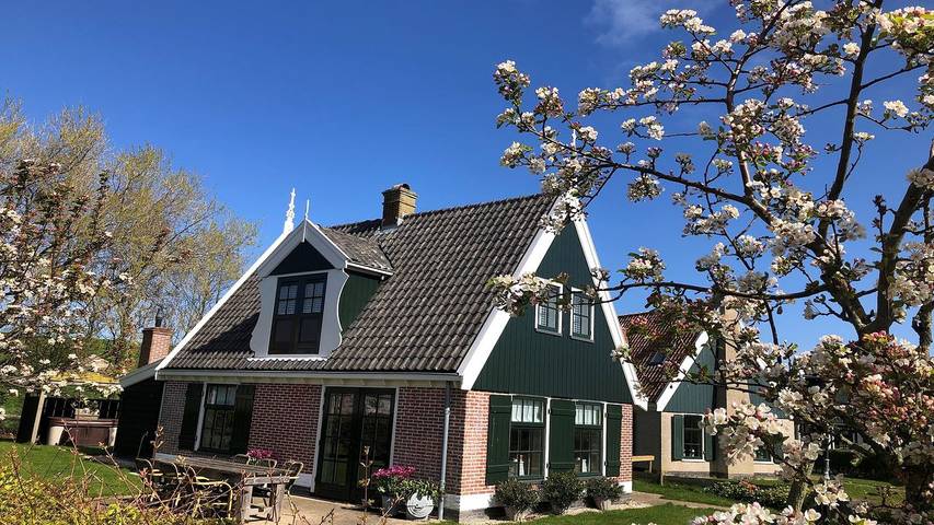 Vakantiehuis voor 6 personen, met terras en tuin in Hippolytushoef