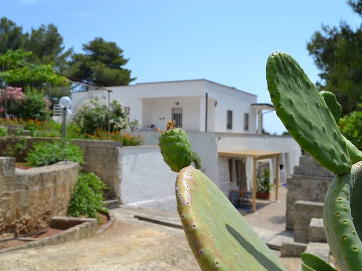 Appartement de vacances pour 3 personnes, avec Terrasse à Torre Vado