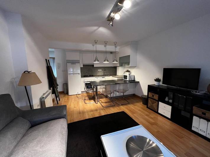 Apartamento de férias para 4 pessoas, com vista, com animais de estimação - 1