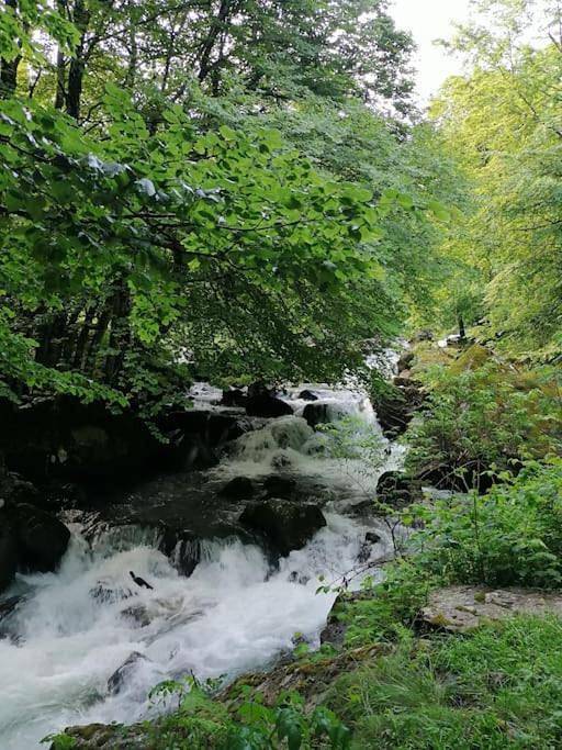 Maison de vacances pour 7 personnes, avec terrasse et vue, animaux acceptés