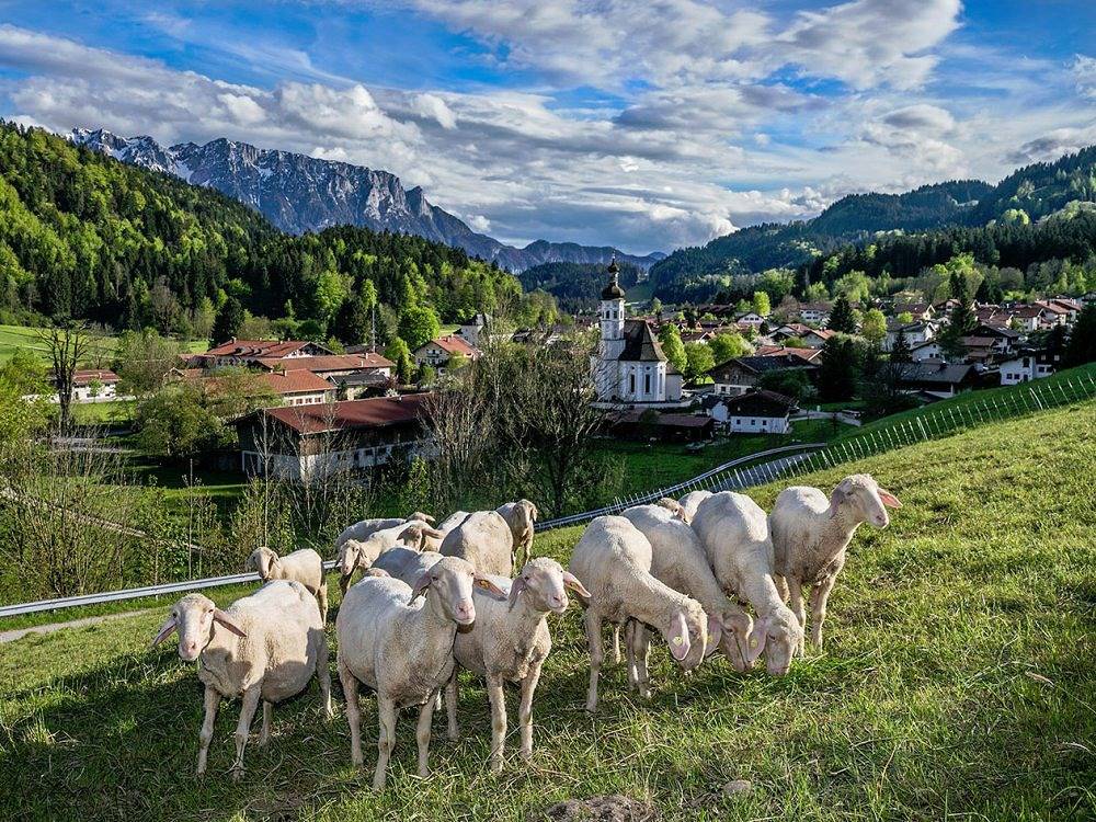 Simmerl-Bergbauernhof - 01 - Wilder Kaiser in Aschau im Chiemgau, Bayerische Alpen
