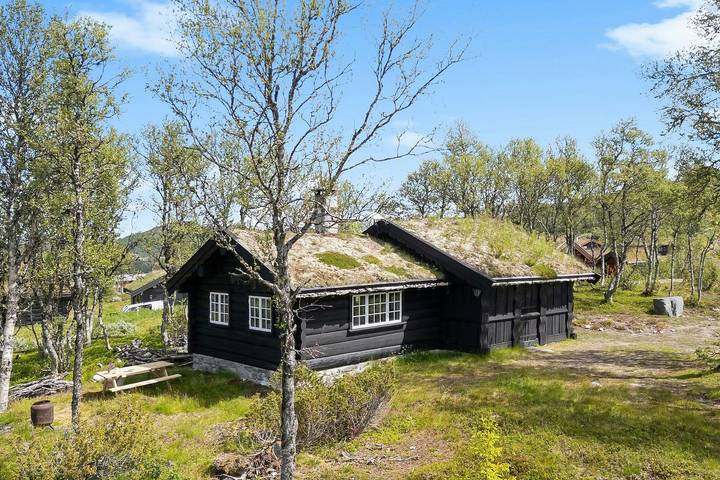 Feriehus for 5 personer i Telemark