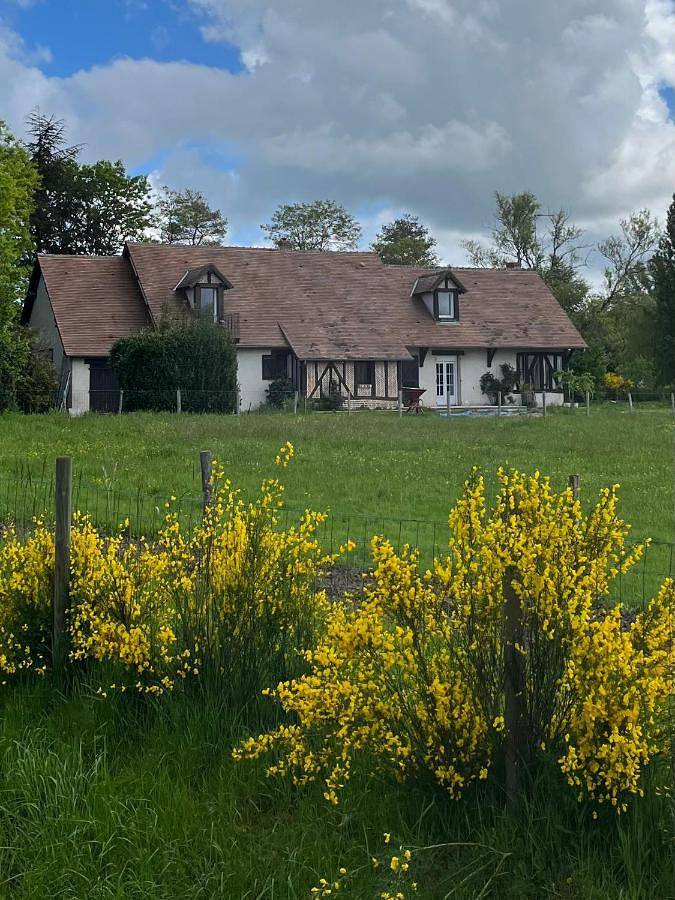 Oh ! Fleurs des champs in Chaumont-sur-Tharonne, Sologne