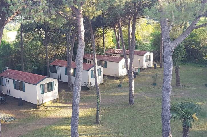Parc de vacances pour 5 personnes, avec vue ainsi que jardin et piscine, animaux acceptés à Misano Adriatico - 4