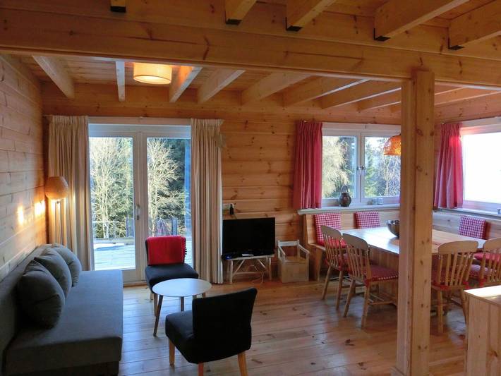 Ferienhaus für 8 Personen, mit Garten und Terrasse sowie Sauna, mit Haustier im Sauerland - 3