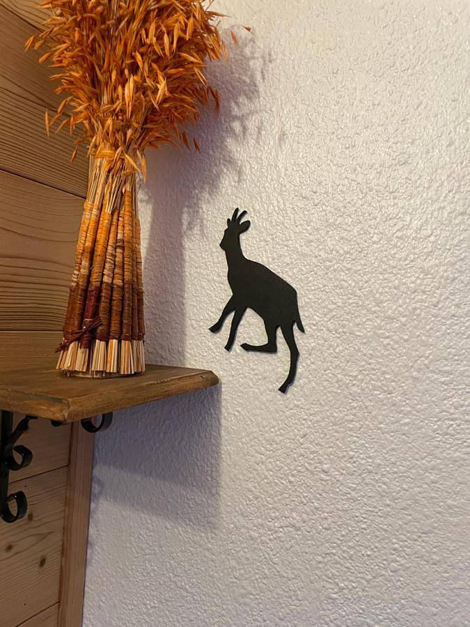 Gîte pour 5 personnes, avec vue et jardin dans Station de Piau Engaly - 3