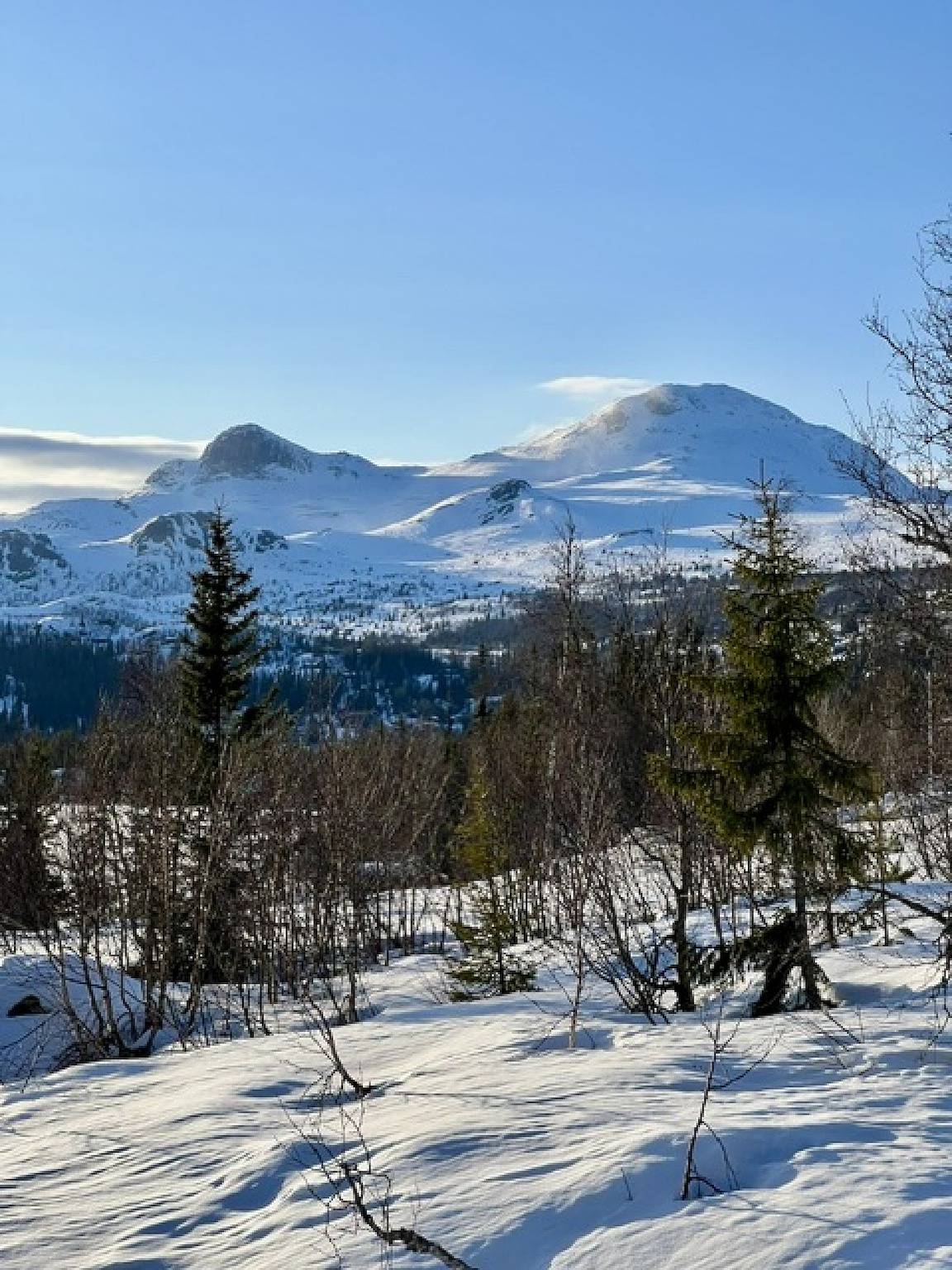 Cottage für 8 Personen mit Seeblick in Hjartdal