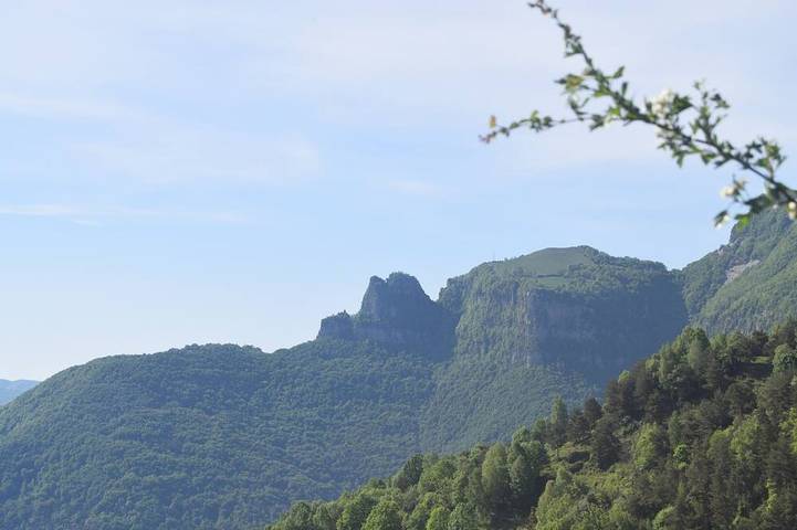 Gîte pour 16 personnes, avec jardin, animaux acceptés