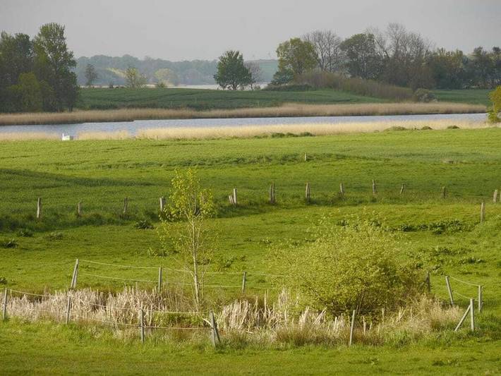 Ferienhaus für 4 Personen, mit Garten, mit Haustier in Ulsnis - 3