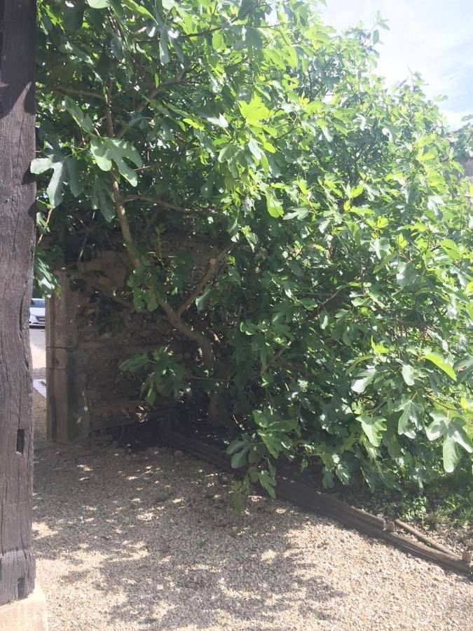 Location de vacances pour 3 personnes, avec vue et jardin à Viriat - 3