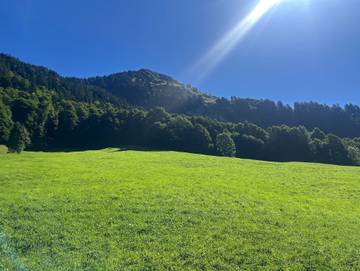 Chalet für 6 Personen in Schoppernau, Allgäuer Alpen (Österreich), Bild 4