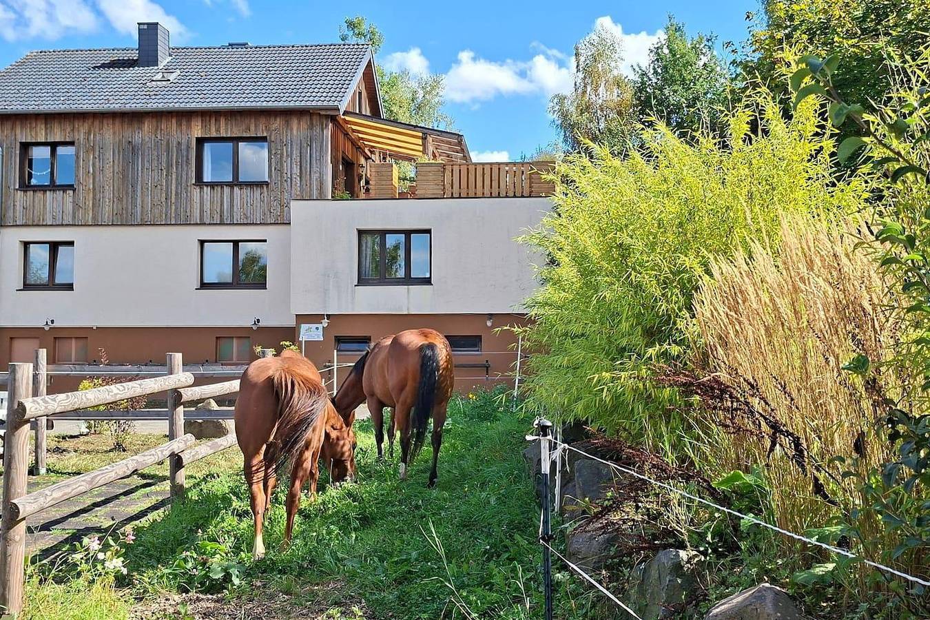 Große Ferienwohnung auf ruhigem Hof im Westerwald in Hövels, Altenkirchen & Umgebung