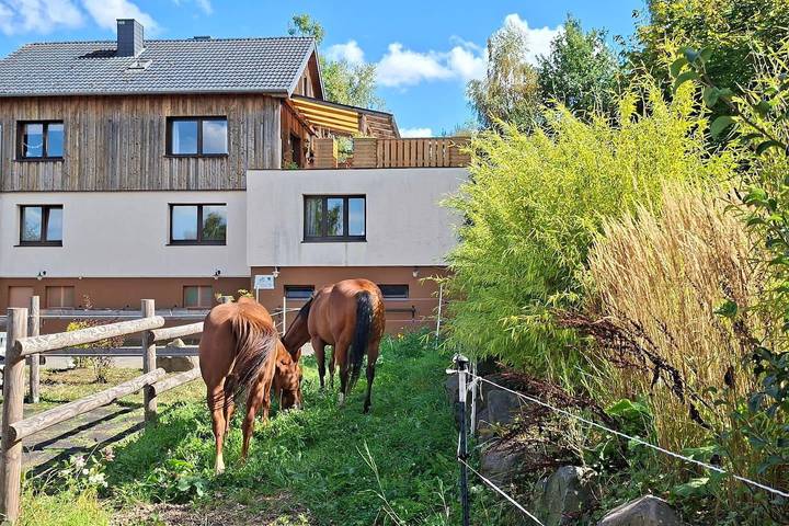 Ferienhaus für 6 Personen, mit Terrasse und Garten, mit Haustier