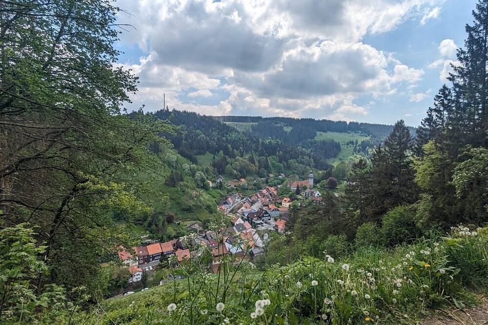Ganze Wohnung, Zeit sich zu erholen! Gemütliche Ferienwohnung im grünen Harz! in Wildemann, Harzvorland