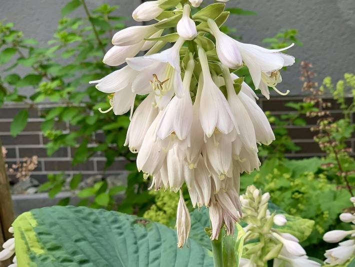 Ferienwohnung für 2 Personen im Lahntal - 4