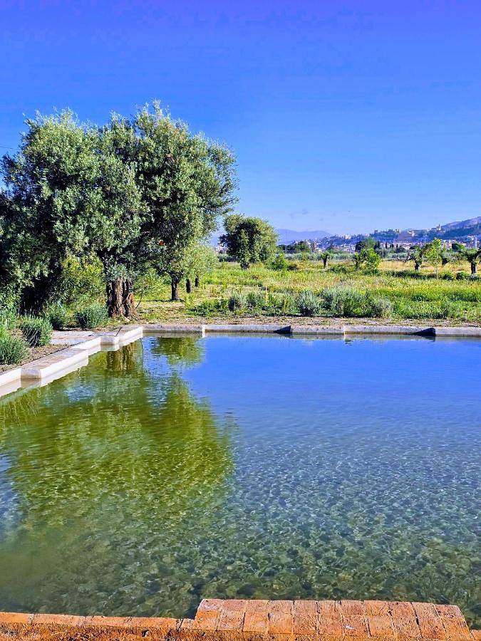 Casa rural para 2 personas, con terraza y jardín además de vistas y piscina en La Zubia