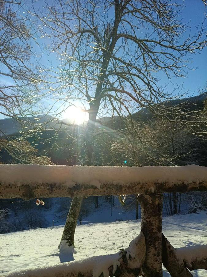 Gîte pour 3 personnes, avec sauna ainsi que jardin et vue à Massat - 2