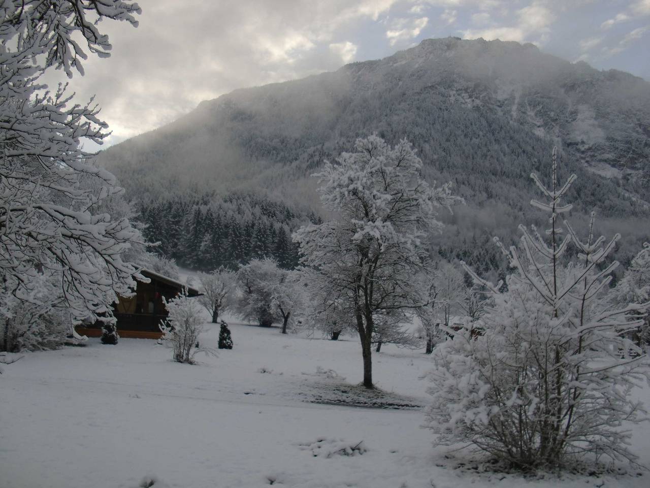 Ferienalm - Ferienalm in Chiemgauer Alpen, Ruhpolding