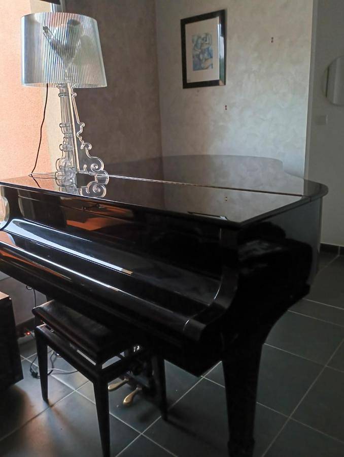 Location de vacances pour 6 personnes, avec terrasse ainsi que piscine et jardin à Teuillac - 4