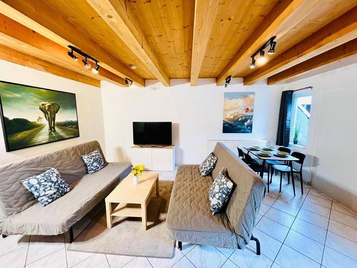 Gîte pour 6 personnes, avec terrasse et jardin à Geisingen - 3