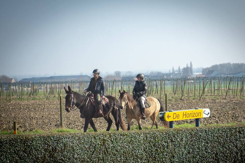 Vakantiehuis de Horizon in Reningelst, Poperinge