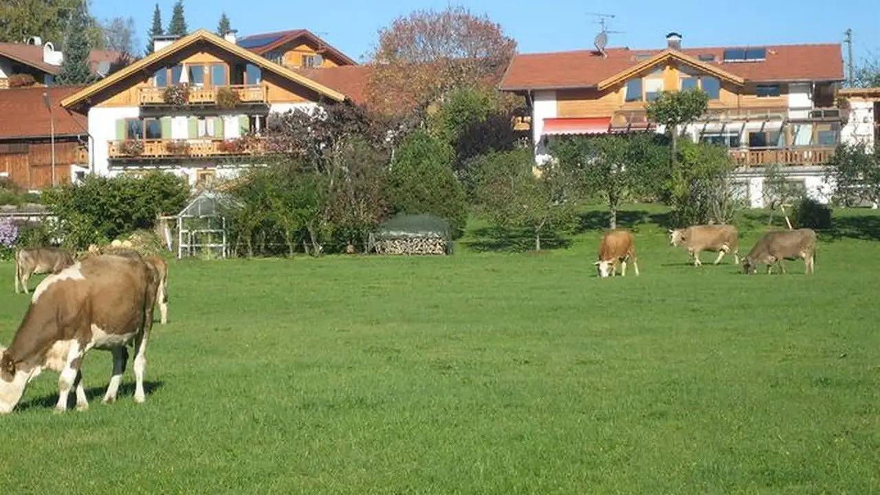 Ganze Ferienwohnung, Ferienwohnung für 2 Personen (43 m²) in Bad Bayersoien in Bad Bayersoien, Bayerische Alpen