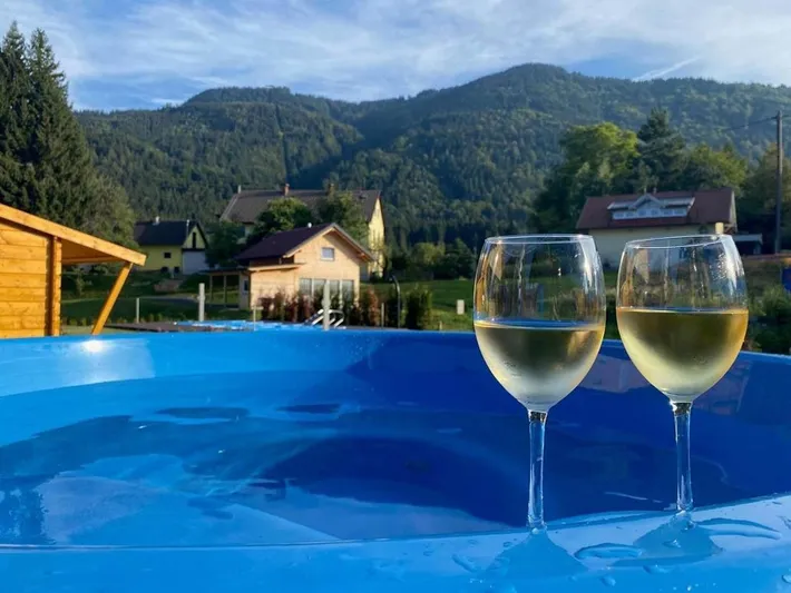 Ferienhaus für 7 Personen, mit Ausblick und Sauna sowie Garten und Pool - 1