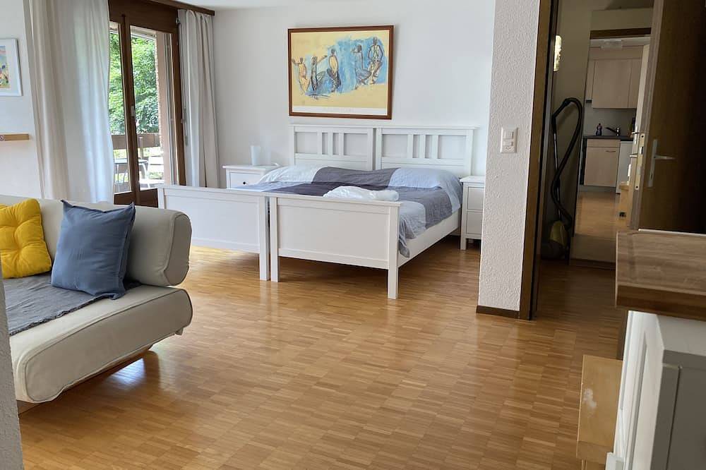 Ganze Wohnung, Helle grosse 1 Zimmerwohnung mit Balkon in Aargau-Basel