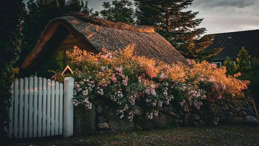 Ferienhaus für 6 Personen, mit Garten, mit Haustier in Midlum - 4