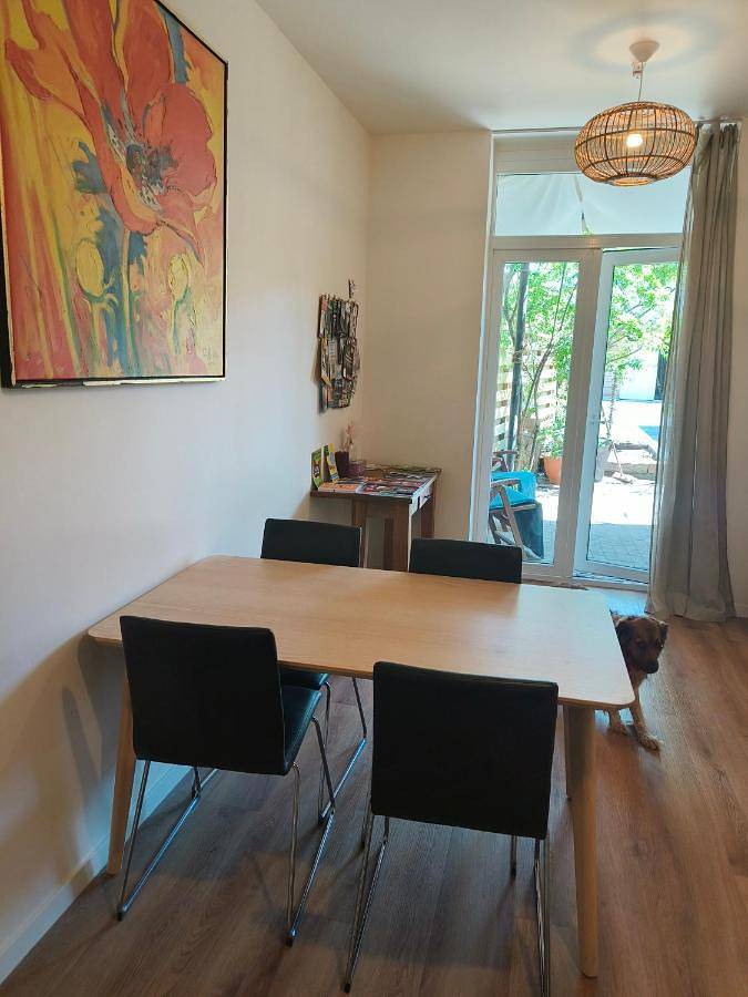 Ferienwohnung für 4 Personen, mit Terrasse, mit Haustier in Haarlem - 4