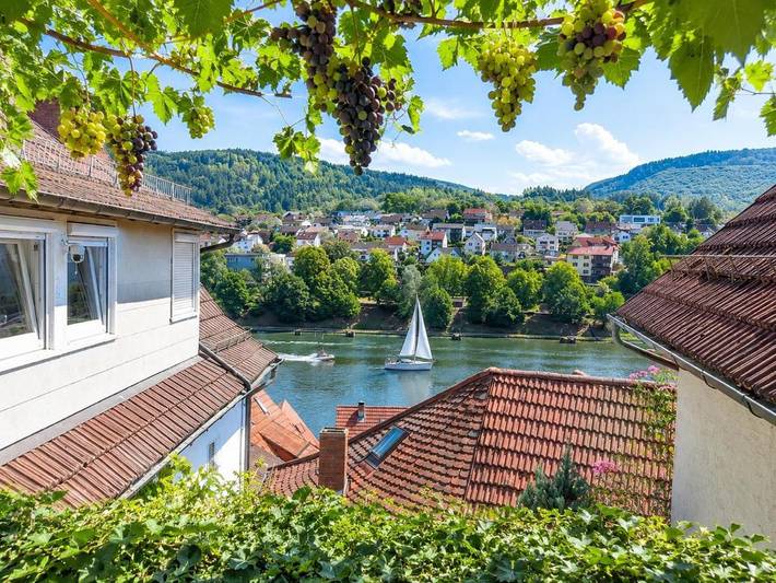 Ferienwohnung für 2 Personen, mit Terrasse und Garten sowie Ausblick in Hirschhorn (Neckar) - 3