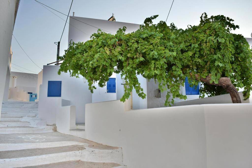 Anatoli Rooms in Egíali, Amorgos