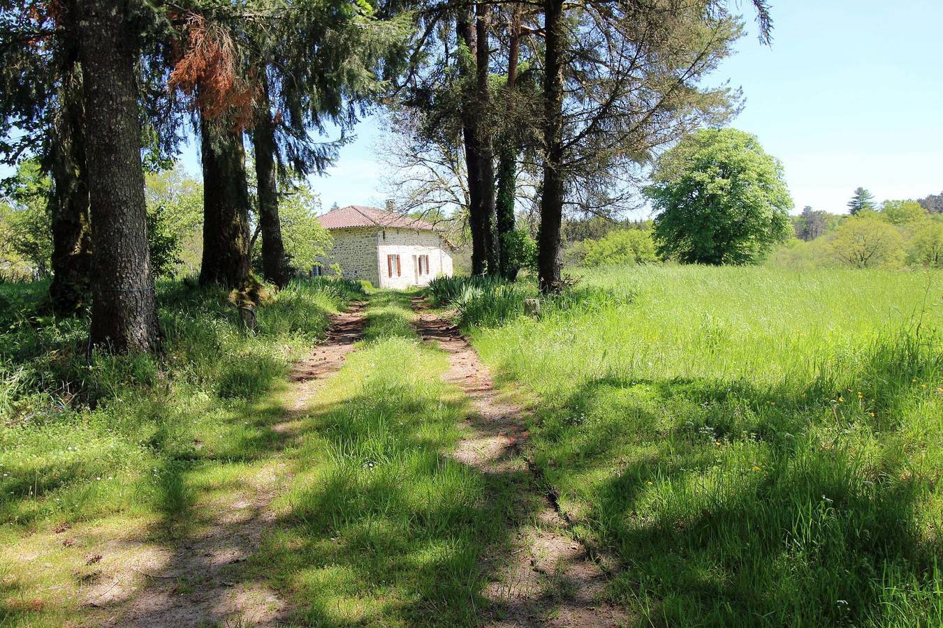 Chez Germaine in La Chapelle-Montbrandeix, Parc naturel régional Périgord-Limousin