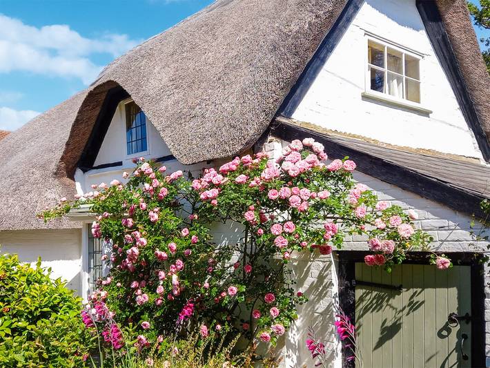 Cottage for 5 people, with garden in Barton on Sea