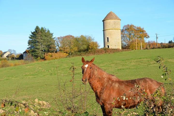 Location de vacances pour 10 personnes, avec vue et jardin à Saint-Martin-du-Puy - 2