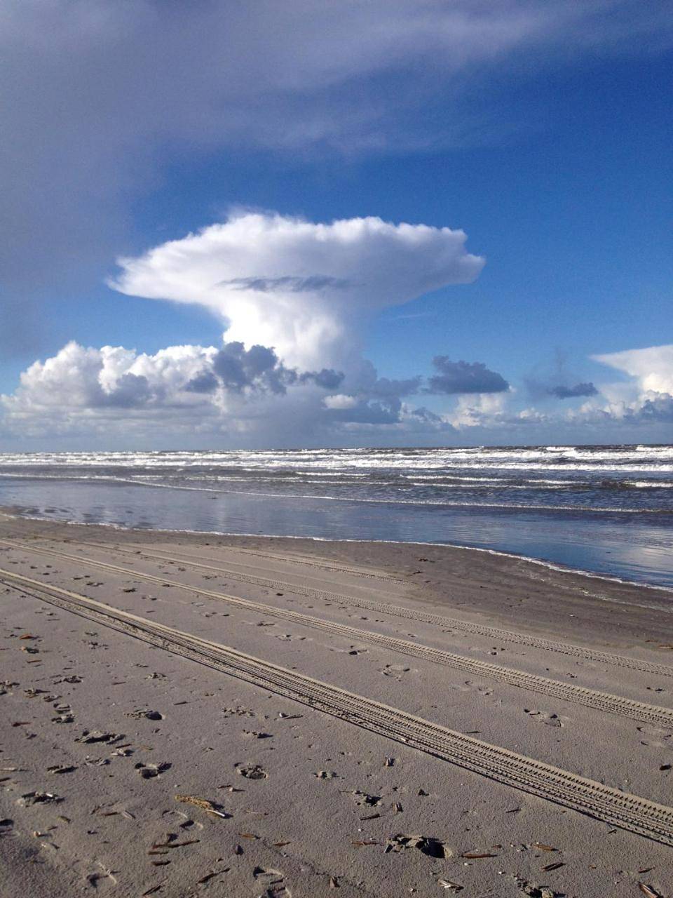 Dune Bep in Schiermonnikoog, Westfriesische Inseln