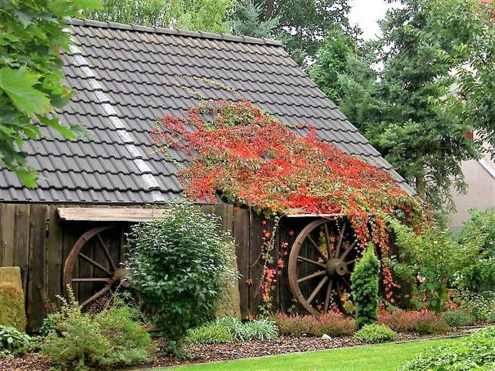 Ez Gästehaus, Du/Wc, 1 Pers. in Gifhorn, Landkreis Gifhorn