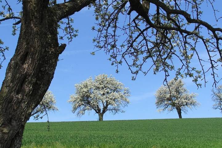 Ferienwohnung für 4 Personen, mit Pool und Garten