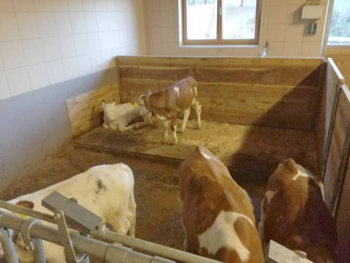 Ferienwohnung für 4 Personen, mit Garten und Ausblick in Virgen - 3