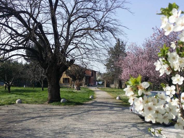 Chambre d’hôte pour 3 personnes, avec vue et jardin, animaux acceptés à Parme - 2