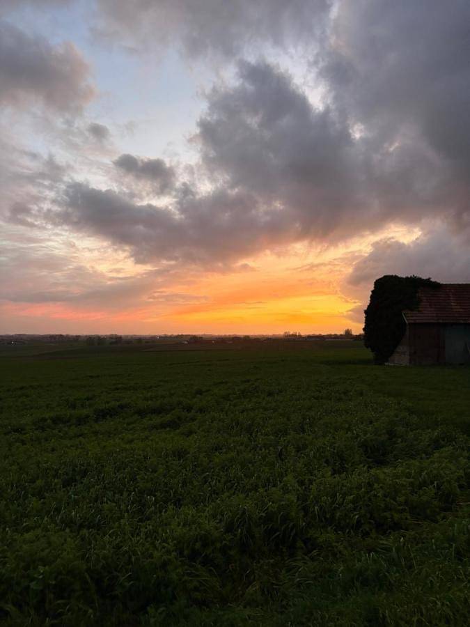 Chambre d’hôte pour 5 personnes, avec piscine ainsi que vue et jardin dans Neuve-Église - 4