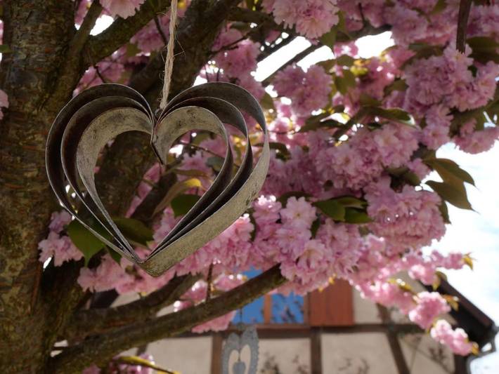 Chambre d’hôte pour 4 personnes, avec jardin en Alsace - 2