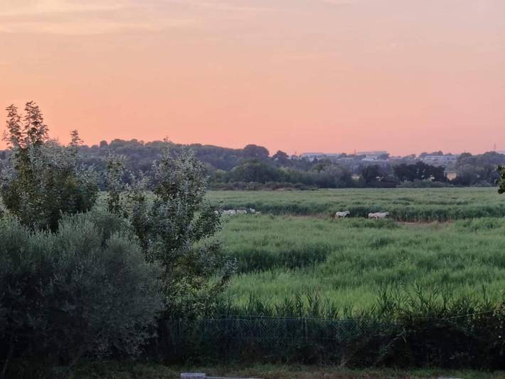 Appartement de vacances pour 2 personnes, avec jardin et vue