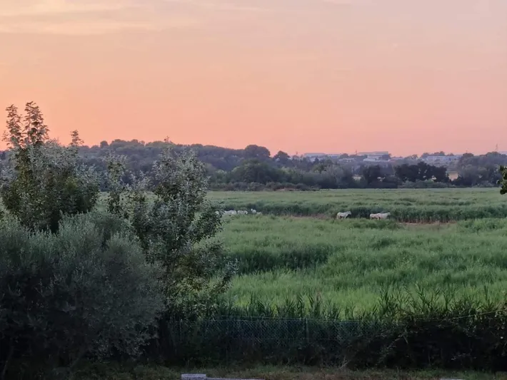 Apartamento de vacaciones para 2 personas, con vistas y jardín - 1