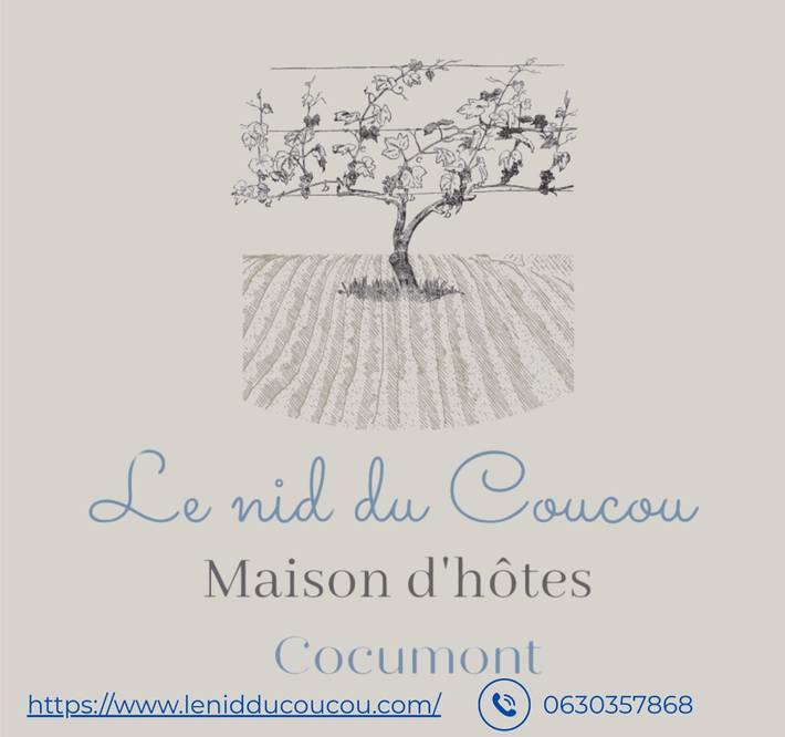 Chambre d’hôte pour 5 personnes, avec piscine et jardin dans le Lot-et-Garonne - 3