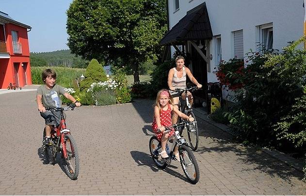 Ferienhaus für 4 Personen, mit Balkon und Sauna sowie Garten, kinderfreundlich in Fränkisches Seenland - 4