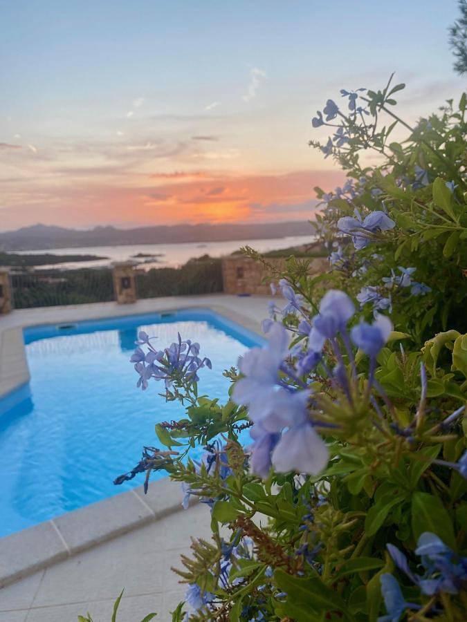 Villa per 12 persone, con Terrazza e Giardino nonché Piscina e Panorama a Baja Sardinia