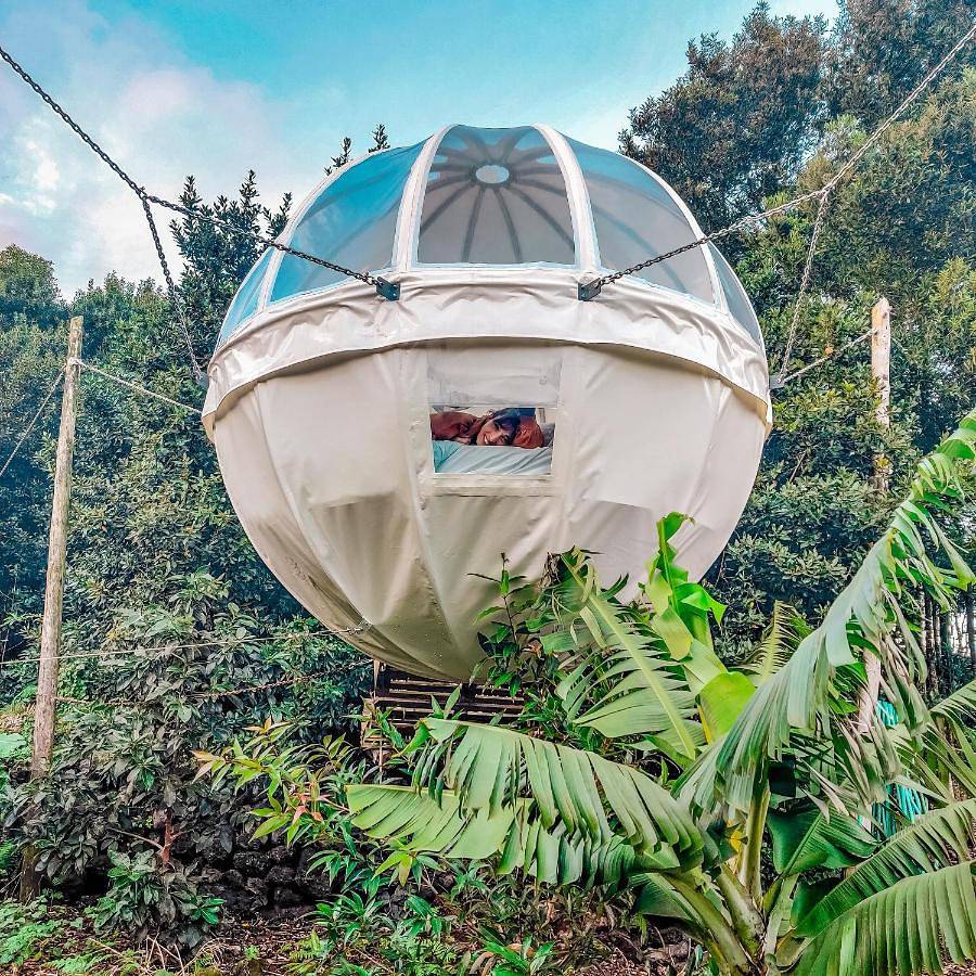 Quinta do Abacate - Glamping Park in São Mateus da Calheta, Terceira