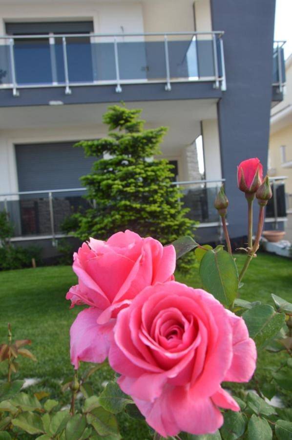 B&B La Rosa dei Venti in Altamura, Parco nazionale dell'Alta Murgia